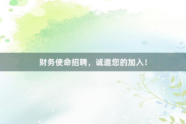 财务使命招聘，诚邀您的加入！