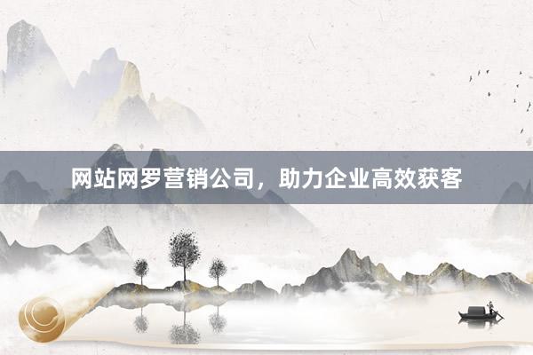 网站网罗营销公司，助力企业高效获客