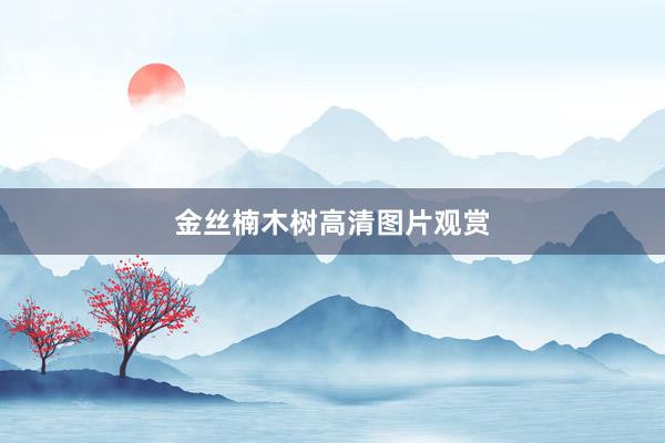 金丝楠木树高清图片观赏